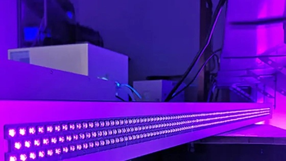 Led Purification Home - 首页