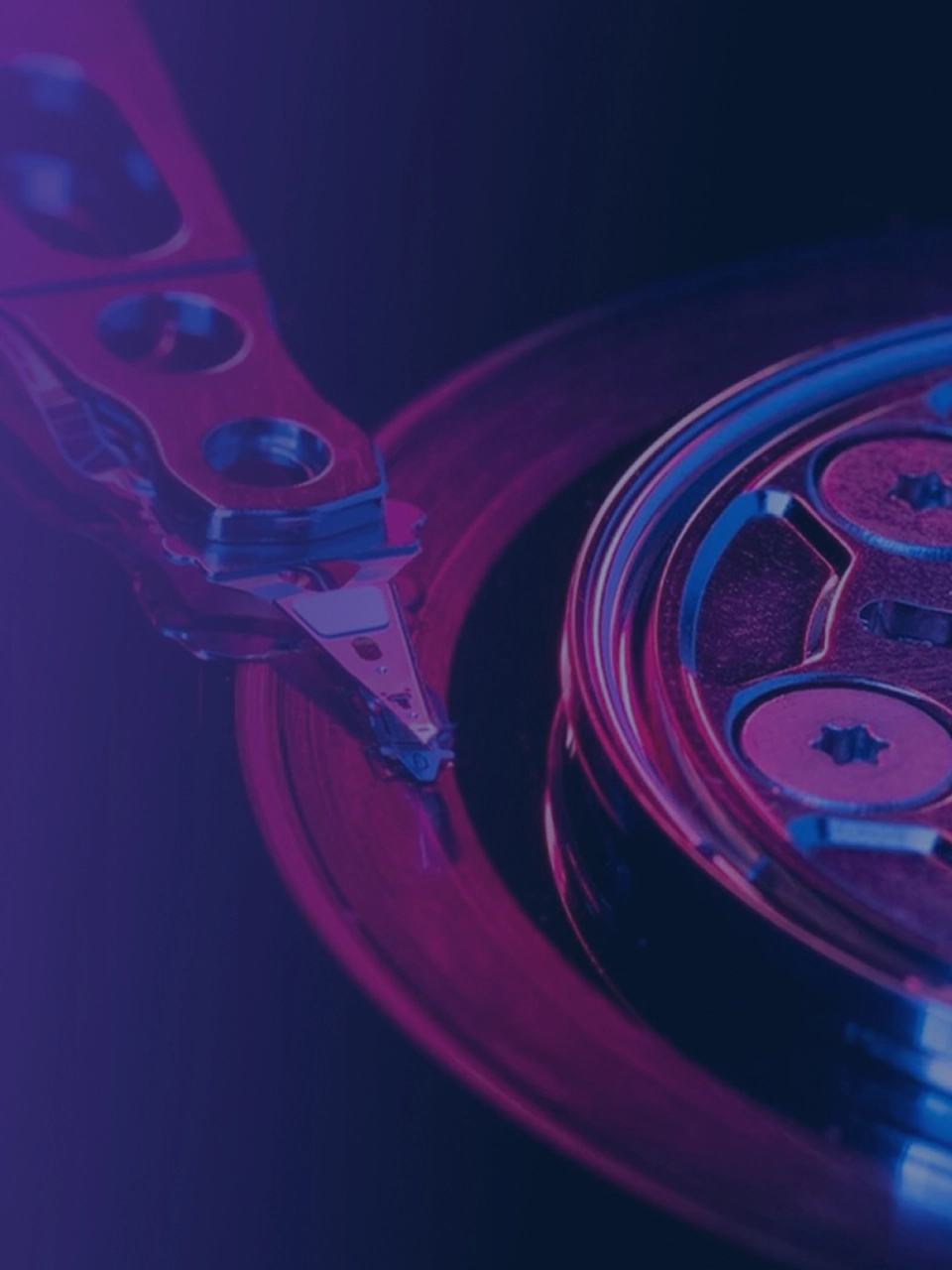 banner_移动端